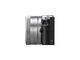 Mirrorless Panasonic Lumix DMC-GM1 с 12-32mm f/3.5-5.6 ASPH