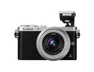 Mirrorless Panasonic Lumix DMC-GM1 с 12-32mm f/3.5-5.6 ASPH