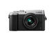 Mirrorless Panasonic Lumix DMC-GX8 с 14-42mm f/3.5-5.6 ASPH II