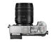 Mirrorless Panasonic Lumix DMC-GX8 с 14-140mm f/3.5-5.6 ASPH