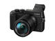 Mirrorless Panasonic Lumix DMC-GX8 с 14-140mm f/3.5-5.6 ASPH