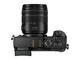 Mirrorless Panasonic Lumix DMC-GX8 с 14-140mm f/3.5-5.6 ASPH