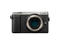 Mirrorless Panasonic Lumix DMC-GX80