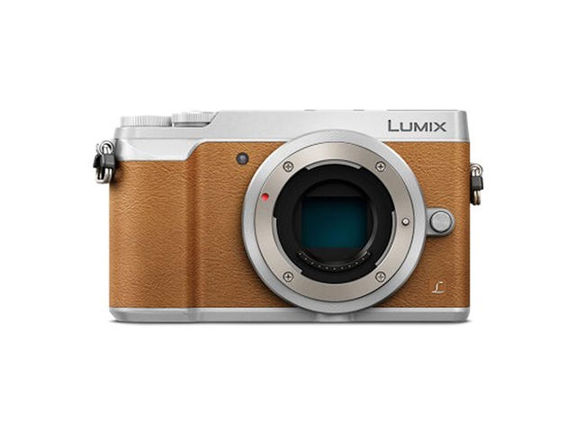 Mirrorless Panasonic Lumix DMC-GX80