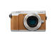 Mirrorless Panasonic Lumix DMC-GX80