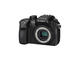 Mirrorless Panasonic Lumix DMC-GH4R