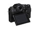 Mirrorless Fujifilm X-T1