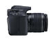 DSLR Canon EOS 1300D с 18-55mm IS II и 50mm f/1.8 STM