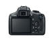 DSLR Canon EOS 1300D с 18-55mm DC III и 50mm f/1.8 STM
