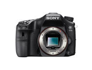 DSLR Sony Alpha 77 II с 18-135mm SAM и 55-300mm SAM