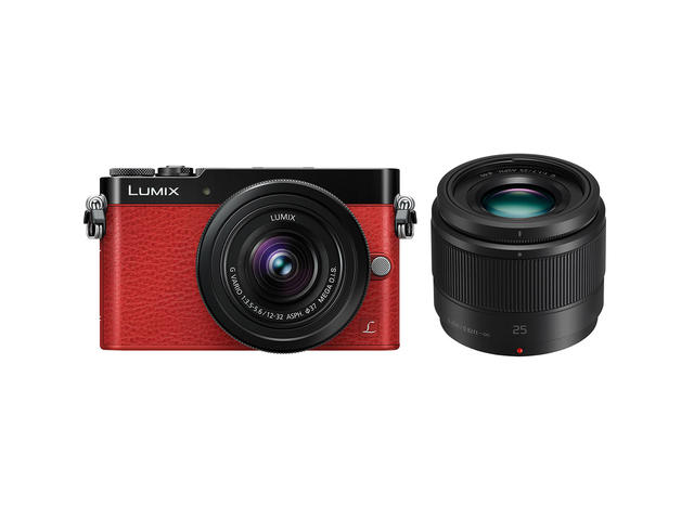 Mirrorless Panasonic Lumix DMC-GM5 с 12-32mm ASPH и 25mm f/1.7