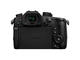 Mirrorless Panasonic Lumix DC-GH5