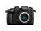 Mirrorless Panasonic Lumix DC-GH5
