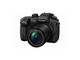 Mirrorless Panasonic Lumix DC-GH5 с 12-60mm f/3.5-5.6 Power O.I.S.