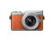 Mirrorless Panasonic Lumix DC-GX800 с 12-32mm f/3.5-5.6 ASPH