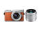 Mirrorless Panasonic Lumix DC-GX800 с 12-32mm f/3.5-5.6 ASPH и 25mm f/1.7