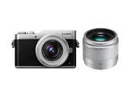 Mirrorless Panasonic Lumix DC-GX800 с 12-32mm f/3.5-5.6 ASPH и 25mm f/1.7