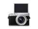 Mirrorless Panasonic Lumix DC-GX800 с 12-32mm f/3.5-5.6 ASPH и 25mm f/1.7