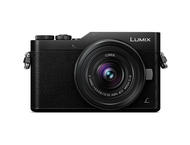 Mirrorless Panasonic Lumix DC-GX800 с 12-32mm f/3.5-5.6 ASPH и 42.5mm f/1.7