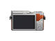 Mirrorless Panasonic Lumix DC-GX800 с 12-32mm f/3.5-5.6 ASPH и 42.5mm f/1.7