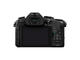 Mirrorless Panasonic Lumix DMC-G80 с 14-140mm f/3.5-5.6 ASPH