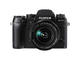 Mirrorless Fujifilm X-T1 с 18-55mm OIS и Zeiss Touit 12mm f/2.8