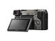 Mirrorless Sony Alpha 6000 с 16-50mm f/3.5-5.6 PZ OSS