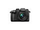 Mirrorless Panasonic Lumix DC-GH5 с 12-60mm f/3.5-5.6 Power O.I.S.