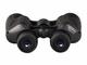 Бинокли Levenhuk Atom 8x40