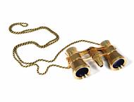 Бинокли Levenhuk Broadway 325F Opera Glasses Gold