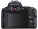 DSLR Canon EOS 250D