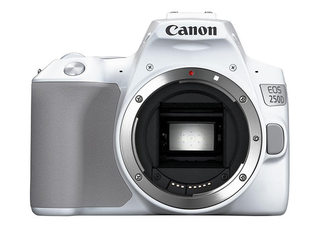 DSLR Canon EOS 250D (бял) + Canon EF-S 18-55mm f/3.5-5.6 IS