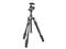 Стативи Manfrotto Befree 2N1