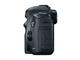DSLR Canon EOS 5D Mark III