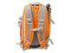 Чанти Раница Lowepro Flipside Sport 10L AW Orange