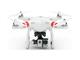 Дронове DJI Phantom 2 V2 + стойка Zenmuse H4-3D