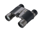 Бинокли Nikon 10x25HG L DCF