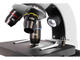 Микроскопи Levenhuk Discovery Nano, Polar с книга