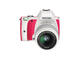 DSLR Pentax K-S1 с обектив DAL 18-55mm f/3.5-5.6 Strawberry Cake