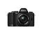 Mirrorless Olympus OM-D E-M10 Pancake Grip Kit
