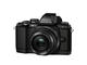Mirrorless Olympus OM-D E-M10 Pancake Grip Kit