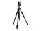 Стативи Vanguard Alta Pro 263AB 100