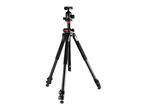 Стативи Vanguard Alta Pro 263AB 100