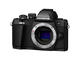 Mirrorless Olympus OM-D E-M10 Mark II